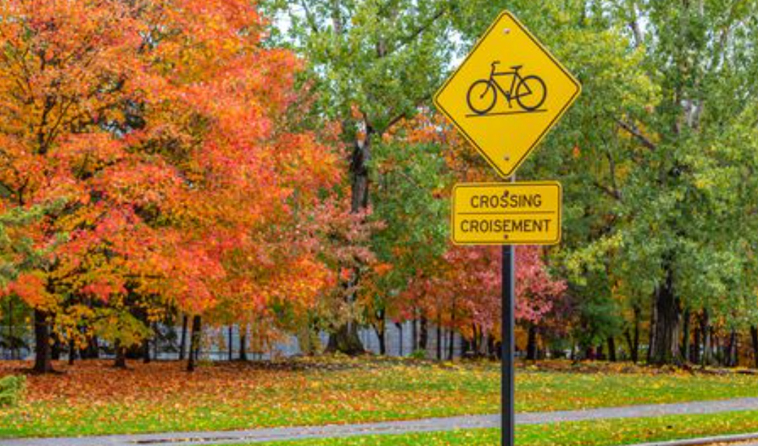 Storia dell'inglese in Canada e negli Stati Uniti