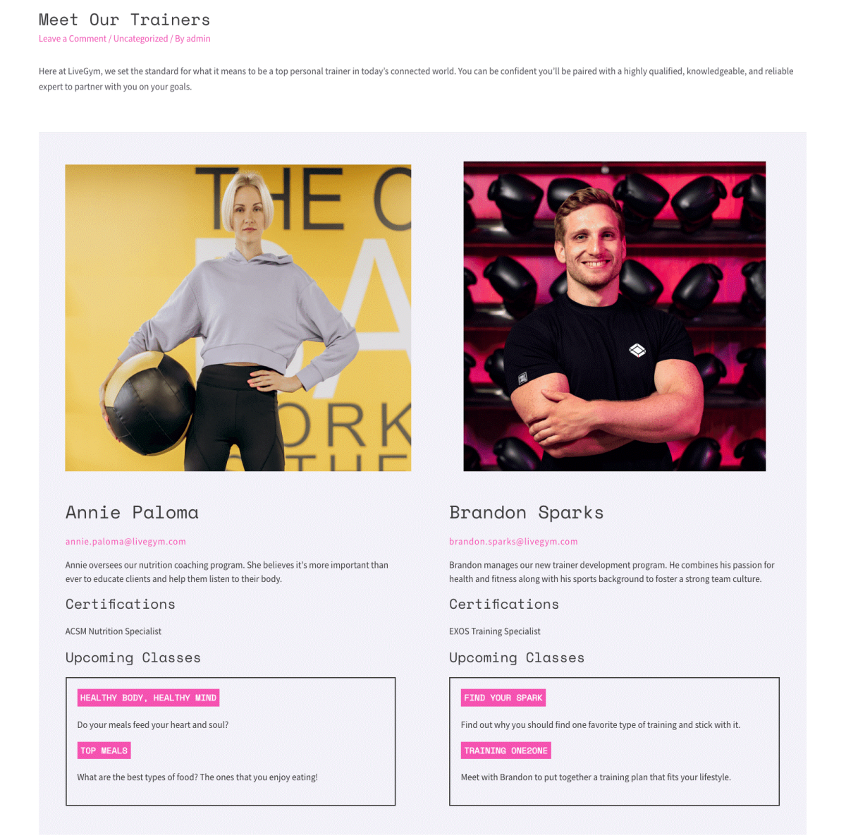 Articolo con campi personalizzati nel <i>frontend</i>