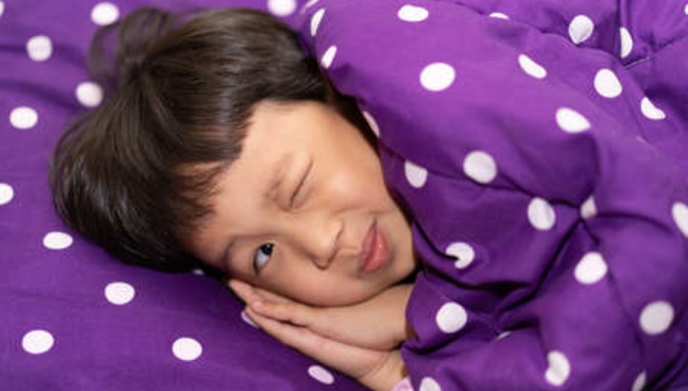 "Fidarsi è bene, ma non fidarsi è meglio"