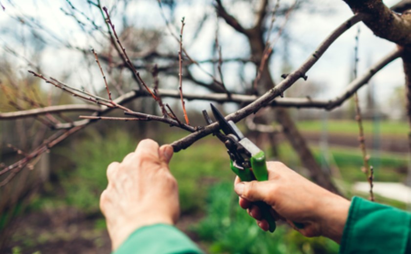Ottieni una buona traduzione dei tuoi brevetti minimizzando i costi